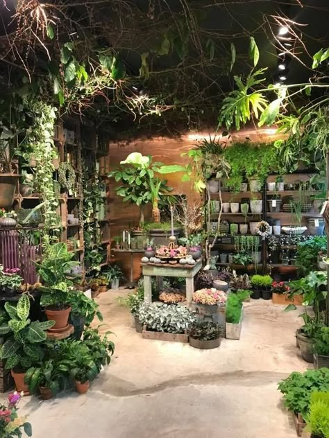 Flowershop Aesthetic, Garden Center Displays, Flower Shop Design, Plant Store, Deco Jungle, Indoor Gardens, Plant Shop, Plant Aesthetic, Green Room