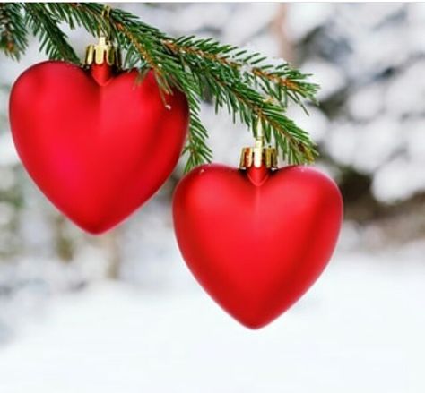 Pf 2022, Compliments Of The Season, Christmas Facebook Cover, Language Of Love, Happy Valentines Day Images, Winter Pins, Christmas Post, Holiday Pictures, Be Grateful