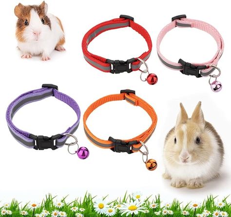 Amazon.com : 4 Pack Rabbit Adjustable Collars with Bell, Guinea Pig Dragon Luminous Collar, Small Animal Exercise and Interaction Accessories : Pet Supplies Pig Harness, Rabbit Accessories, Guinea Pig, Guinea Pigs, Small Pets, Animal Rescue, Funny Animals, Pet Supplies, Pet