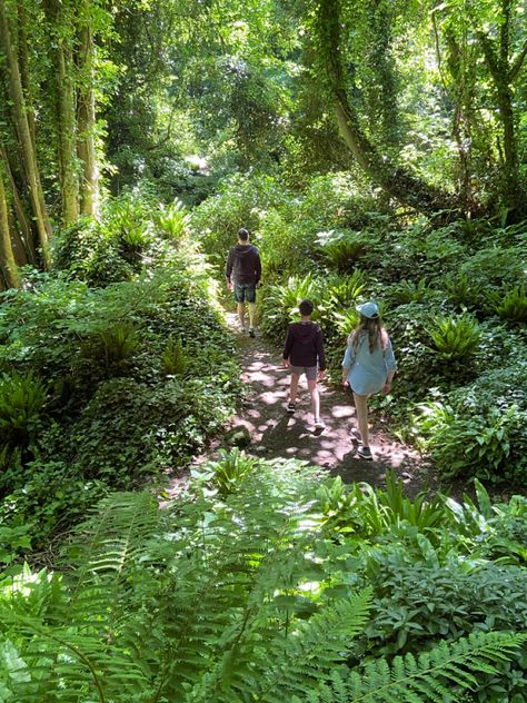 Forest Explorer Aesthetic, Exploring The Woods Aesthetic, Friends In The Forest, Explorer Aesthetic Outfit, Widget Nature, Exploring Forest Aesthetic, Teenage Adventure Aesthetic, Forest With Friends Aesthetic, Hiking With Friends Aesthetic