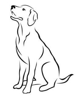 Labrador Retriever Drawing Simple, Tiny Labrador Tattoo, Pictures Of Dogs To Draw, Lab Outline Drawing, Dog Outline Drawing Simple, Simple Dog Art, Pet Drawings Easy, Simple Dog Drawings, Lab Dog Drawing