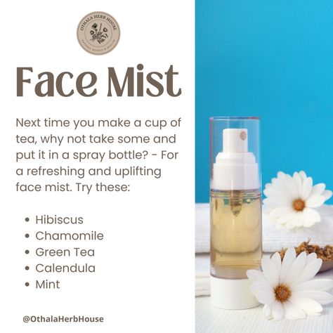 Tea on your Face? Herbs for Skincare Herbs For Face Care, Calendula Tea, Natural Hair Diy, Tea Diy, Lavender Tea, Rooibos Tea, Hibiscus Tea, Chamomile Tea, Face Mist