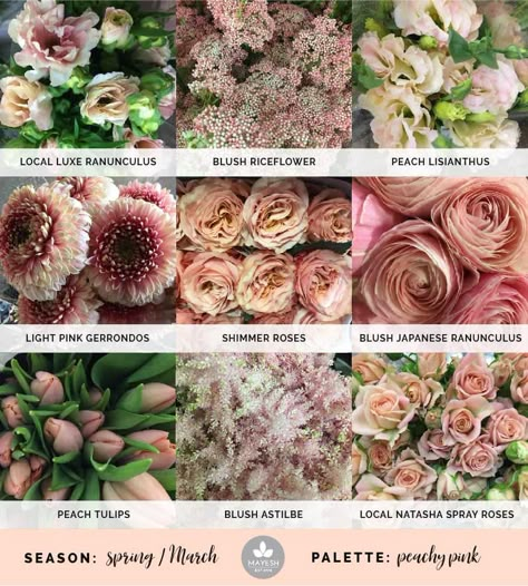 Blush Colored Flowers, Mayesh Cooler Picks, Japanese Ranunculus, Peach Tulips, Blush Astilbe, Apricot Lisianthus, Dusty Pink Flowers, Dusty Rose Flowers, Blush Ranunculus