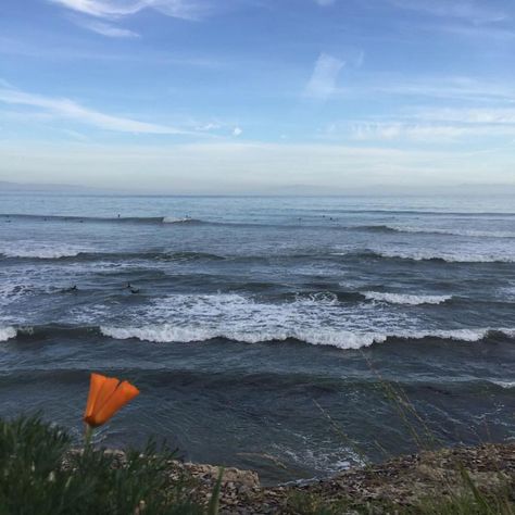 Pleasure Point Beach (Santa Cruz) - 2018 All You Need to Know Before You Go (with Photos) - TripAdvisor Pleasure Point Santa Cruz, Beach Santa, Santa Cruz California, Trip Advisor, Need To Know, California, Water