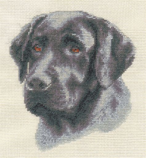 Black Lab Cross Stitch, Lab Cross Stitch, Golden Retriever Cross, Dog Needlepoint, Cross Stitch Calculator, Feather Embroidery, Cat Cross Stitch, Cross Stitch Animals, Black Labrador