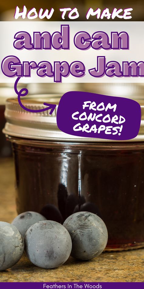 Canning Tutorial, Concord Grape Recipes, Concord Grape Jam, Grape Jam Recipe, Homemade Grape Jelly, Concord Grape Jelly, Jam Homemade, Food Growing, Sugared Grapes