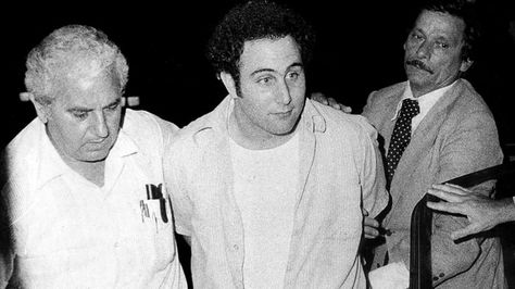 David Berkowitz, the Son of Sam, murdered six people before he was caught – but the tabloid war he helped start still inspires terror David Berkowitz, Elizabeth Bathory, Ted Bundy, Netflix Documentaries, I Cant Sleep, New Netflix, Fbi Agent, True Stories, Documentaries