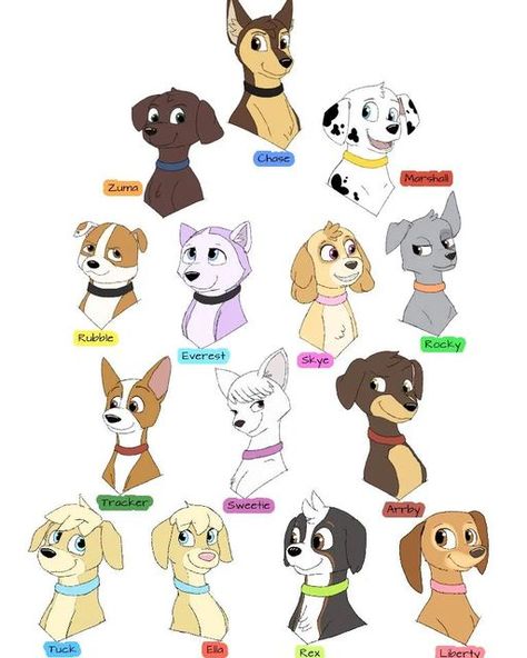 Paw Patrol All Characters, Paw Patrol All Pups, Character Headshots, Anime Lion, Jhin League Of Legends, Kartu Pokemon, Dog Design Art, Zuma Paw Patrol, Paw Patrol Cartoon