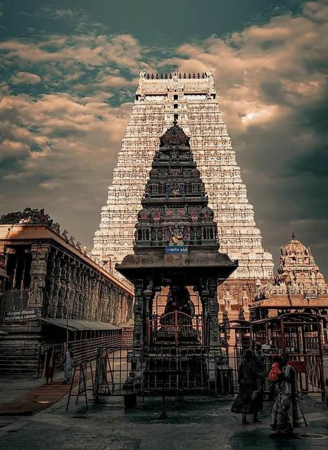 Thirupathi Temple, Arunachalam Temple, Saraswati Photo, Indian Temple Architecture, Grunge Pictures, Temple Photography, Ancient Indian Architecture, Lord Murugan Wallpapers, Temple Pictures