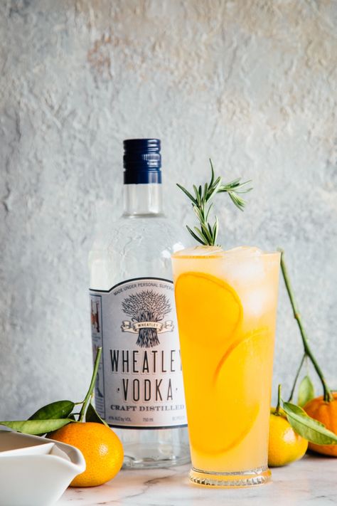 Vodka Citrus Sparkler Recipe | Kitchen Konfidence Blood Orange Marmalade, Winter Cocktail, Cocktail Shots, Seasonal Drinks, Orange Marmalade, Rum Drinks, Winter Cocktails, Cocktail Recipes Easy, Angostura Bitters