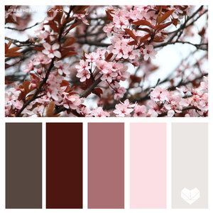 Burgundy Color Palette, Paint Pallets, Burgundy Colour Palette, Bathroom Paint, Color Schemes Colour Palettes, Color Palette Pink, Flowers Paper, Color Palate, Color Palette Design