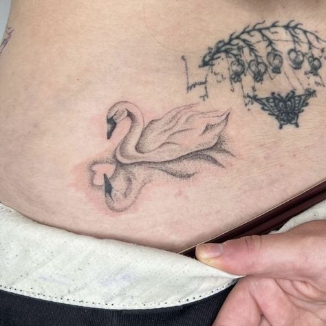 Paper Swan Tattoo, Swan Tattoos For Women, To Speak Or To Die Tattoo, Small Swan Tattoo, Tiny Swan Tattoo, Swan Back Tattoo, Barbie Swan Lake Tattoo, Dainty Swan Tattoo, 2 Swans Tattoo