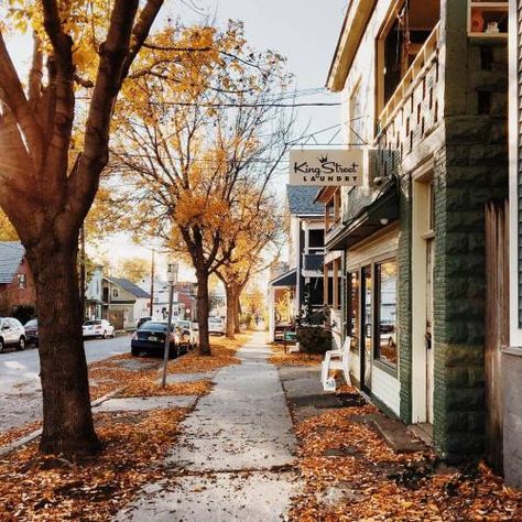 Aesthetic Town, Autumn Tumblr, Burlington Vermont, Paint Colors For Living Room, Best Seasons, Autumn Cozy, Autumn Aesthetic, Autumn Trees, Autumn Inspiration