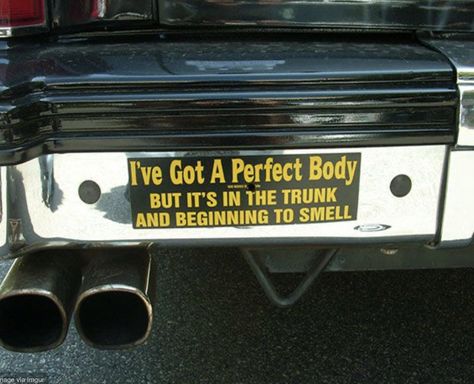 Cars Stickers, Funny Bumper Stickers, Best Cars, Double Take, Car Humor, Future Car, Future Life, Bumper Sticker, Best Ideas