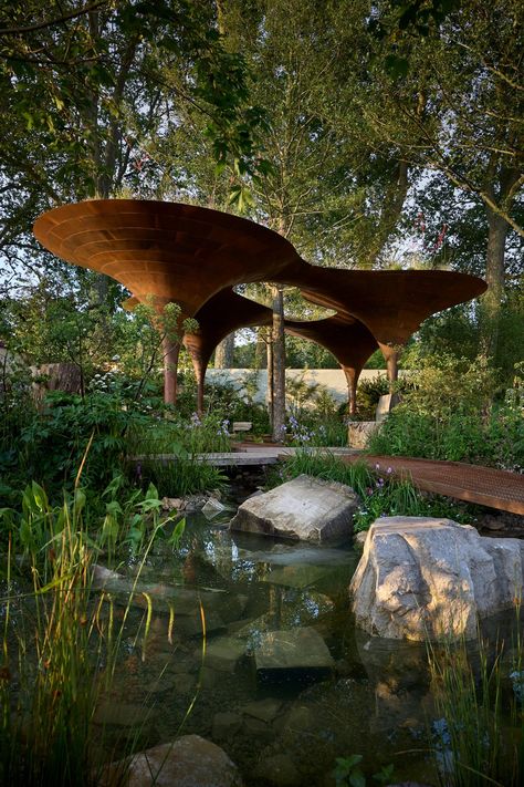 Studio Weave and Tom Massey design garden with rain-harvesting pavilion Reflection Pond Architecture, Reflecting Pool Architecture, Tom Massey, Feilden Fowles, Water Pavilion, Living Architecture, Rain Harvesting, Studio Weave, Pavilion Architecture