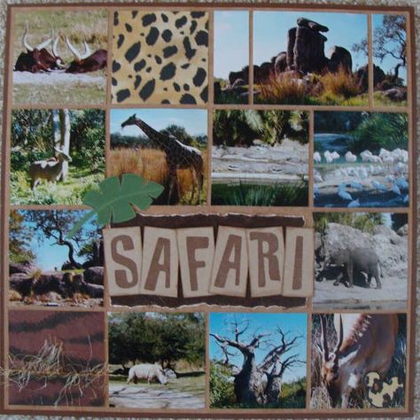 Safari Scrapbook Layouts, Jungle Scrapbook, Safari Scrapbook, Animal Kingdom Safari, Africa Art Design, Travel Scrapbook Pages, Project Life Scrapbook, Disney Scrapbooking Layouts, Scrapbook Borders