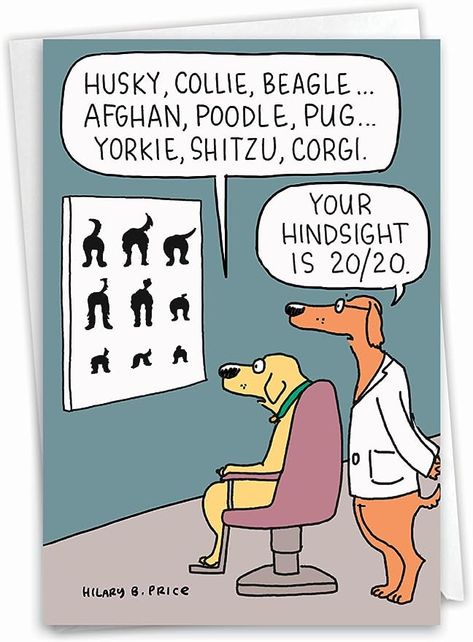 Yorkie Shitzu, Puppy Jokes, Pet Birthday, Eye Exam, Funny Animal Jokes, Dog Eyes, Cartoon Jokes, Animal Jokes, Dad Jokes