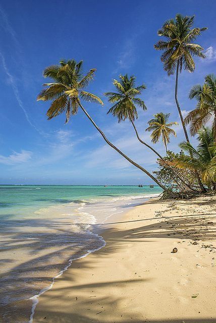 Tropical Beaches, Beaches In The World, Alam Yang Indah, Caribbean Islands, Bora Bora, Tropical Islands, Tropical Paradise, Beach Photos, Blue Water