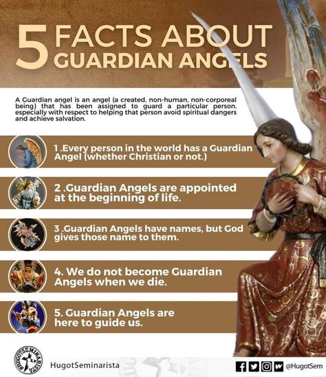 The Happy Catholic Woman | 5 𝙁𝘼𝘾𝙏𝙎 𝘼𝘽𝙊𝙐𝙏 𝙂𝙐𝘼𝙍𝘿𝙄𝘼𝙉 𝘼𝙉𝙂𝙀𝙇𝙎 Spiritual Understanding, Memes Facebook, Holy Eucharist, Catholic Doctrine, Catholic Memes, Catholic Beliefs, Christian Studies, Catholic Women, Prayers For Strength