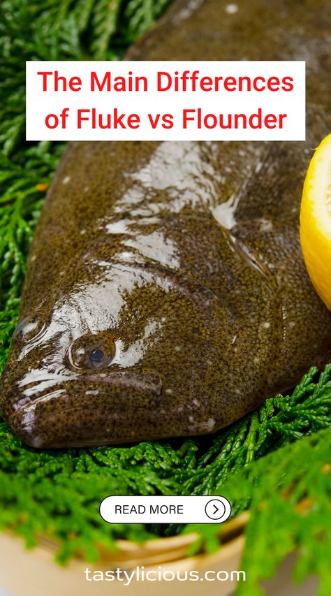 fluke vs flounder | fluke vs flounder taste | does fluke taste like flounder | fluke or flounder difference | keto dinner recipes | healthy lunch ideas | dinner ideas | breakfast ideas | easy healthy dinner recipes Fluke Recipes, Breakfast Ideas Easy Healthy, Low Mercury Fish, Flounder Recipes, Breakfast Ideas Easy, Best Fish Recipes, Real Fish, Keto Dinner Recipes, Easy Healthy Dinner