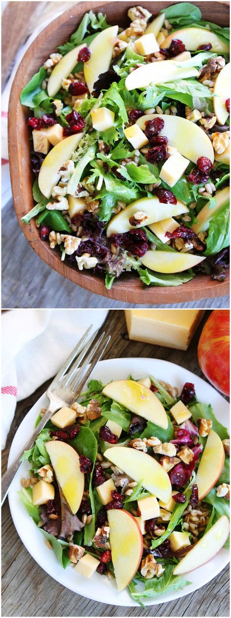 Apple, Gouda, and Farro Salad Recipe on twopeasandtheirpod.com This is the perfect fall salad! Apple Gouda, Farro Salad Recipes, Apple Cider Vinaigrette, Salad With Apples, Cider Vinaigrette, Fall Salad, Farro Salad, Autumn Salad, Fun Salads