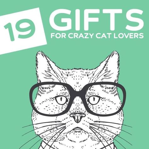 19 Funny Gifts for Cat Lovers- a.k.a Crazy Cat Ladies (and guys). Gifts For Old People, Unusual Gifts For Men, Crazy Cat Lady Gifts, Cat Tent, Gifts For Cat Lovers, Cat Lady Gift, Cat Hacks, Gag Gifts Funny, Cat Posters