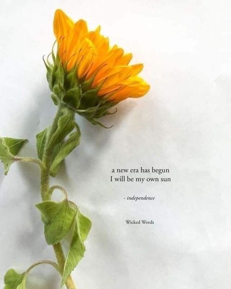 Flowers Poetry, Comic Quotes, Dandelion Quotes, Meaningful Sayings, Sunflower Quotes, Selfie Quotes, Love Quotes Life, Sunflower Yellow, Garden Quotes