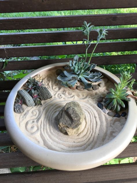 Zen Miniature Garden, Succulent Zen Garden, Mini Zen Garden Diy, Sand Garden Zen, Zen Garden Mini, Succulent Business, Zen Garden Miniature, Indoor Zen Garden, Small Zen Garden