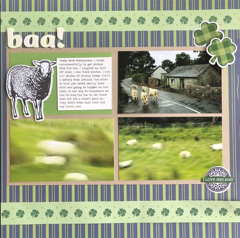 Ireland wildlife...sheep and cows - Scrapbook.com Ireland Scrapbook Layouts, Iceland Scrapbook, Sheep Ireland, Scotland Scrapbook, Ireland Scrapbook, Europe Scrapbook, Spring Scrapbook, Scrapbook Memories, Scrapbooking Layouts Travel