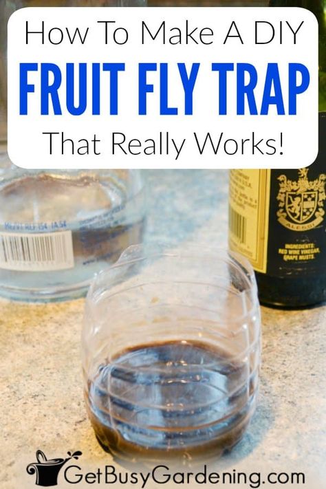 Tired of walking into a cloud of fruit flies in your kitchen? Then learn how to make an easy DIY fruit fly trap using items you already have around the house. It is the best, all natural, homemade option that traps and kills these annoying bugs. All you need are a few simple items and ingredients (like balsamic or apple cider vinegar & alcohol or soap) and you will have those fruit flies under control in no time at all. Also find tips for making one without vinegar (wine, fruit juice, etc). Fruit Fly Trap Apple Cider Vinegar, Catch Fruit Flies, Homemade Fruit Fly Trap, Fruit Flies In House, Fruit Fly Trap Diy, Diy Fly Trap, Garden Landscaping Design Ideas, Grow Seeds, Mommy Ideas