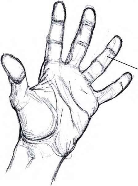 Hand Outline, Beautiful Pencil Drawings, Hand References, Wave Drawing, Drawing Hands, Manga Drawing Tutorials, Hand Drawing Reference, Anatomy Sketches, Hand Reference