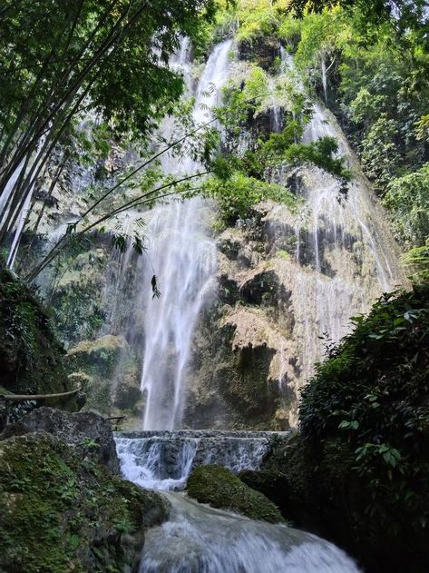 Tumalog Falls, Oslob Cebu, Cebu, Natural Wonders, You Must, Paradise, Wonder, Water, Nature