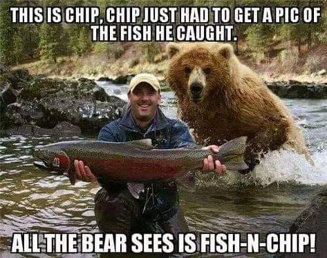 Mormon Humor, Mormon Memes, Alaskan Salmon, Bear Hunting, Fishing Photography, World Of Warcraft, Brown Bear, Skateboarding, Fly Fishing