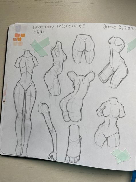 Anatomy Sketches For Beginners, Drawing Inspo Sketch Anatomy, Body Anatomy For Drawing, Anatomy Practice Torso, Learning Body Anatomy Drawing, Body Anatomy Drawing Practice, Anatomy Of Men Drawing, Anatomy Art Practice, Beginner Anatomy Drawing