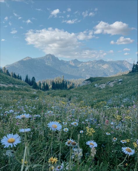 Wild Flowers Mountain, Cottage Core Mountains, Flowers On Mountain, Fields And Mountains, Mountain Nature Aesthetic, Pretty Outdoor Pictures, Mountain Range Aesthetic, Mountaincore Aesthetic, Colorado Mountain Aesthetic