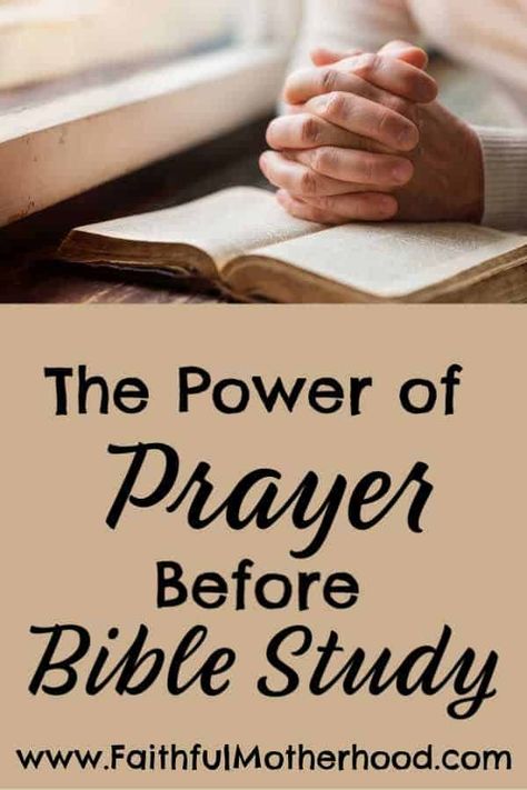 Prayers Before Reading The Bible, Prayer Before Bible Study, Prayer Before Reading The Bible, Discipleship Ideas, Prayer Before Studying, Bible Study Prayer, Prayer For Studying, Teen Bible Study, Study Prayer