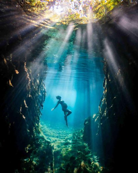 That feeling when your underwater maternity photoshoot dreams become reality. ✨⁠ ⁠ Thank you to the beautiful soon-to-be mama, @laurawagner__⁠ for trusting me for your special shoot. 🤍⁠ ⁠ ⁠ ⁠ #maternityphotoshoot #underwatermaternity #cenotes #underwaterphotoshoot #mexicancenotes #cancunphotographer #underwaterportraits #mermaidphotoshoot #mermaidphotographer #cenoteportraits Underwater Pregnancy Photos, Under Water Maternity Pictures, Mermaid Maternity Shoot, Underwater Maternity Shoot, Water Maternity Photos, Underwater Maternity Photography, In The Year 2525, Mermaid Photo Shoot, Underwater Photoshoot