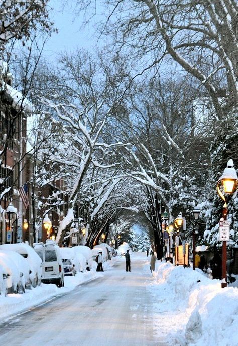 snowy days with bright blue sky…..                                                                                                                                                     More Winter Lovers, Visit Philadelphia, Street Trees, Winter Scenery, Philadelphia Pennsylvania, Winter Beauty, City Landscape, Snowy Day, Snow Scenes