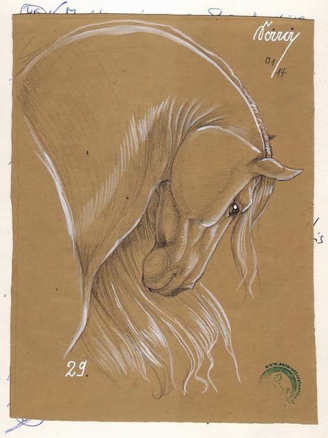 White Pencil Drawing On Brown Paper, Toned Tan Paper Art Sketches, Draw On Brown Paper, Brown Paper Art Drawing, Drawing Brown Paper, Drawings On Brown Paper, Art On Brown Paper, Brown Paper Drawing, Kraft Paper Drawing