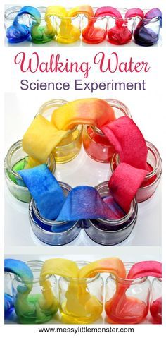 Walking Water Science Experiment, Walking Water Experiment, Water Worksheet, Science Project For Kids, Vetenskapliga Experiment, Water Science Experiments, Walking Rainbow, Rainbow Experiment, Easy Science Projects