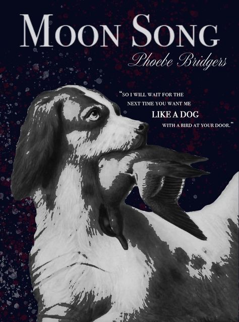 Moon Song Phoebe Bridgers, Phoebe Bridgers Poster, Poster Lyrics, I Will Wait, Moon Song, Me And My Dog, Dorm Posters, Phoebe Bridgers, Lyric Art