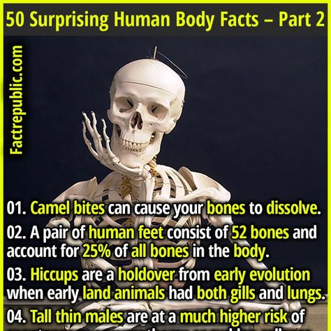 knowledge education youshouldknow humanbody health science bizarre rare weird strange Funny True Facts, Interesting Facts About Humans, Mind Blowing Thoughts, Epic Facts, Odd Facts, Body Facts, Forbidden Knowledge, Human Body Facts, Facts About Humans