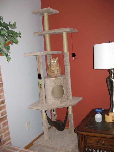 Cat Trees Homemade, Diy Cat Scratching Post, Diy Cat Tower, Cat Tree Plans, Cat Playground Outdoor, Tree House Plans, Cool Cat Trees, Cat Tree House, Diy Cat Tree