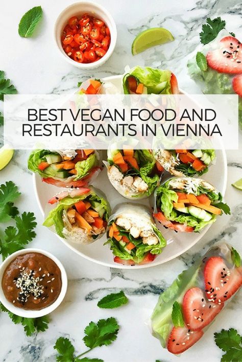 #vegetarian #vegan #Travel #vegetariantravel #vegantravel Vegan Vienna, Vienna Food, Squirrel Food, Travel Austria, Best Vegan Restaurants, Vegan Guide, Restaurants Food, Summer Rolls, Austria Travel