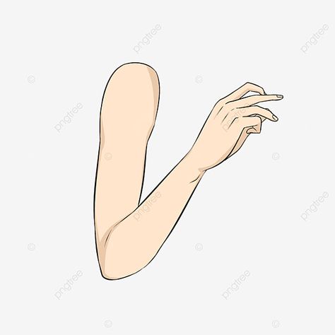 Arm Drawing Female, Arm Woman Reference, Arm Drawing Reference Female, Arm Sketch Female, Folded Arms Drawing, Bent Arm Reference, Arm Outline, Arm Drawing Reference, Procreate References