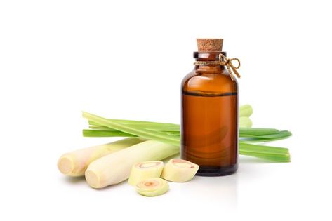 Lemongrass essential oil extract in ambe... | Premium Photo #Freepik #photo #leaf #medical #spa #grass Lemon Grass Essential Oil, Lemongrass Oil, Paint Booth, Amber Bottles, Lemongrass Essential Oil, Dropper Bottles, Hot Sauce Bottles, Lemon Grass, Premium Photo