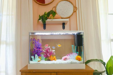 Fish Tank Area Ideas, Cute Fish Tanks Ideas, Small Goldfish Tank, Fish Tank Decorations Ideas, Cute Small Fish Tank Ideas, Small Fish Tank Decor Ideas, Office Fish Tank Ideas, Cute Goldfish Tank, Girly Fish Tank Ideas