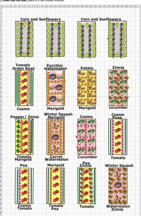 Vegetable and Cut Flower Garden Plan #country #garden #design #countrygardendesign I’m so excited Hubby brought home the lumber to built me 16 raised garden beds. They will be 8’x4′ and be placed in my front yard right next to the orchard. I know many people wouldn’t want their front yard taken up by a vegetable garden, but I will enjoy sitting on the front porch […] Garden Plans Layout, Vegetable Garden Plans, Flower Garden Layouts, Garden Planning Layout, Country Garden Design, Garden Bed Layout, Flower Garden Plans, Backyard Garden Layout, Vertical Vegetable Garden