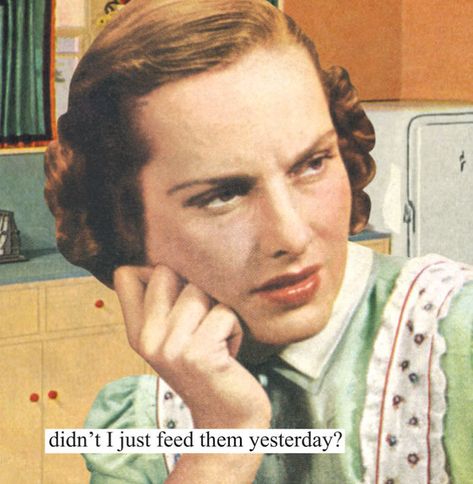 Vintage Humor Retro Funny, Parenting Pictures, Funny Women Quotes, Anne Taintor, Retro Pictures, Retro Housewife, Retro Humor, Kids Food, Morning Humor