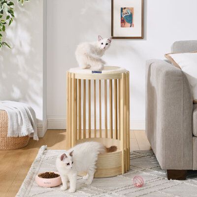 Sam's Pets Yves 24"Cat Tower in Natural oak Cat Scratchers, Playground Design, Dog Sofa, Cat Tower, New Adventure, Stay Active, Contemporary Aesthetic, Cat Furniture, Oak Finish